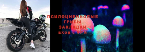 МДМА Богданович