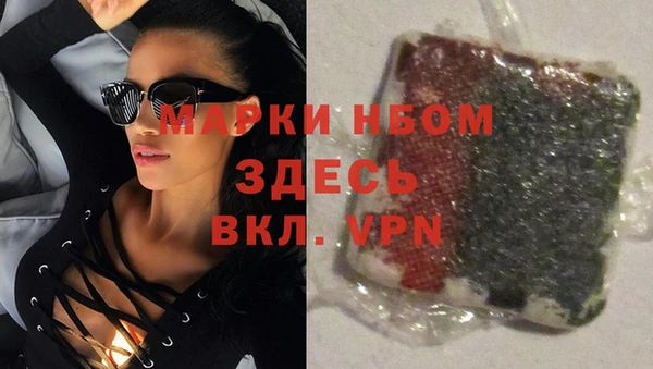 ECSTASY Богородицк