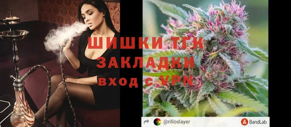 ECSTASY Богородицк