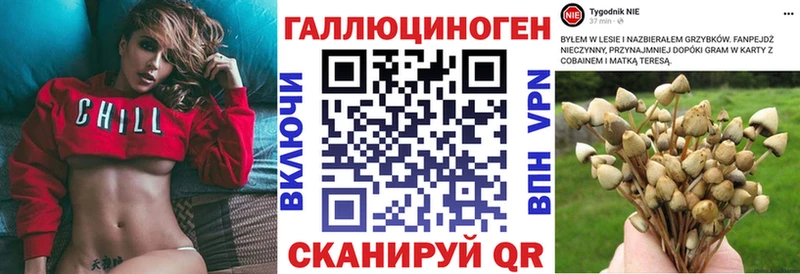 закладка  Севск  MEGA ссылки  Галлюциногенные грибы Cubensis 